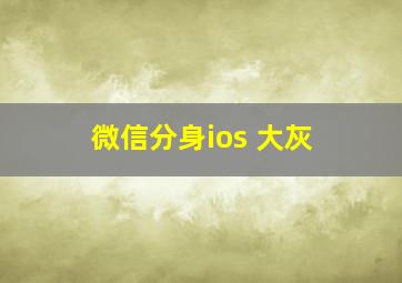 微信分身ios 大灰